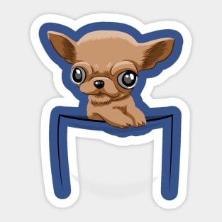 Chihuahua pocket Sticker